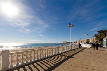 Playa de Los Locos Beaches Torrevieja