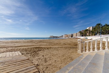 Playa de Los Locos Beaches Torrevieja